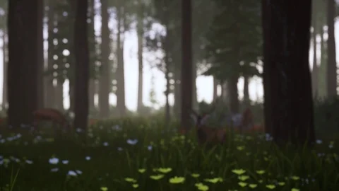 Generative Forest Series Stock Footage 126697300