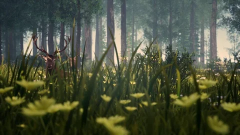 Generative Forest Series Stock Footage 126698186