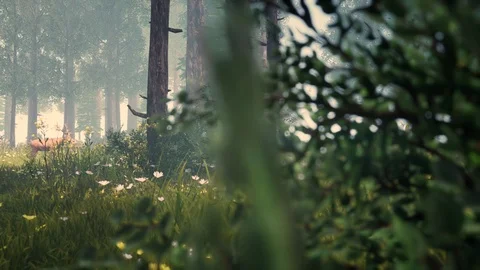 Generative Forest Series Stock Footage 126698188