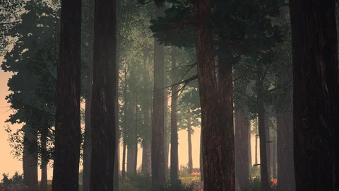Generative Forest Series Stock Footage 126698313