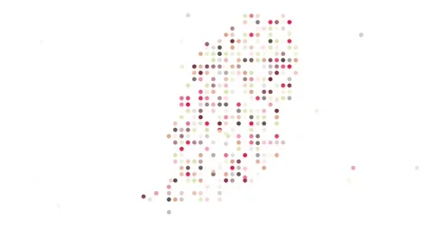 Generative Particle System Forming Grenada Map Stock Footage 320020902