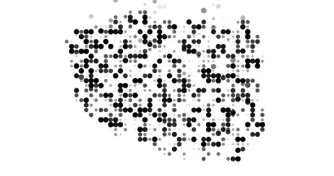 Generative Particles Coalesce Creating Poland Map Outline Stock Footage 319000573