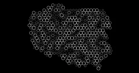 Generative Poland Map With Pulse Effect Stock Footage 311957020
