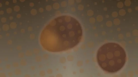 Generic Abstract Playful Elements Moving in Soft Light Видео 328588178