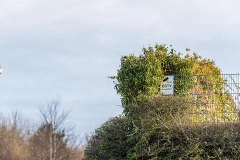 Generic CCTV in Operation Warning Sign on bushes fence Foto stock