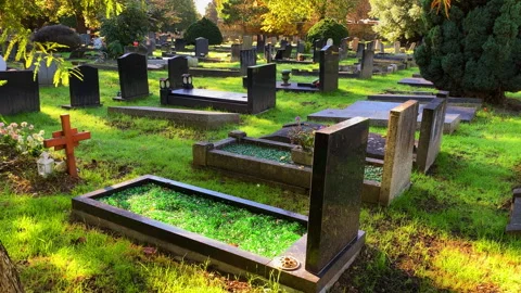 A generic cemetery, with graves surrounded by grass and trees in the sunshine. Video stock 289514682
