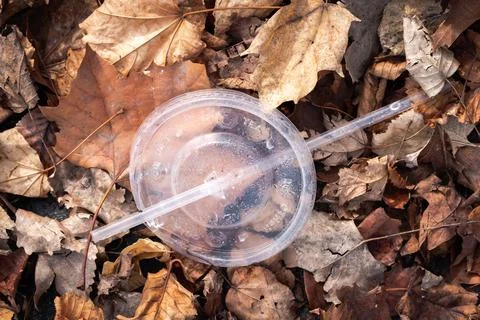 A generic clear plastic straw and soft drink lid trash or litter lays in a .. Stock Photos