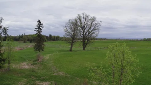 Generic countryside field on a cloudy spring day Vídeo Stock 321704877