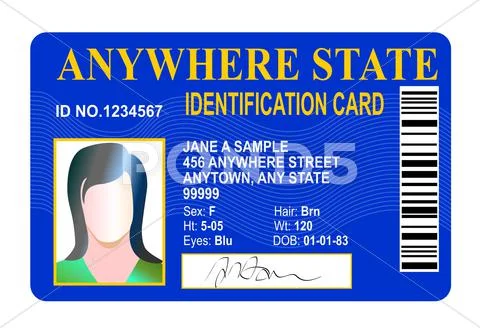 Generic female state identity card Stock Illustration