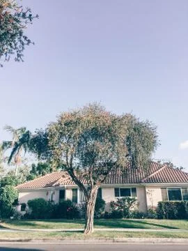 Generic House with Tree in Front of it Los Angeles California Stock Photos