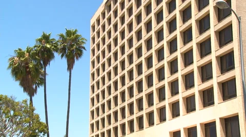 A generic looking office building or hotel with palm trees nearby. Stockbeeldmateriaal 46611584