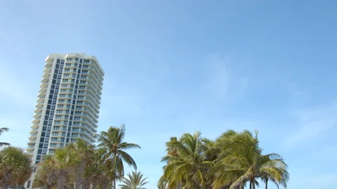 Generic Miami scene with palm trees on blue sky shot in 6k gimbal stabilized  Video stock 138255001