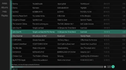 Generic Music Playing Interface Stock Footage