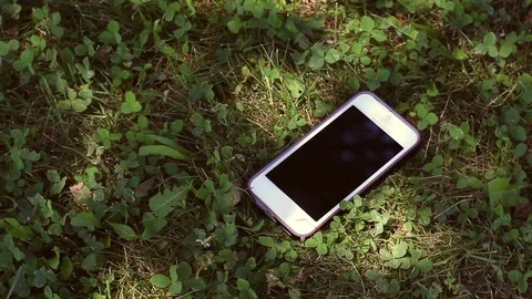Generic Smartphone lying in the grass in a nature park during summer day Stock Footage 78398927
