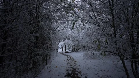 Generic snow scene, Pleasley, Derby, Derbyshire, England, United Kingdom Stock Footage 296070514