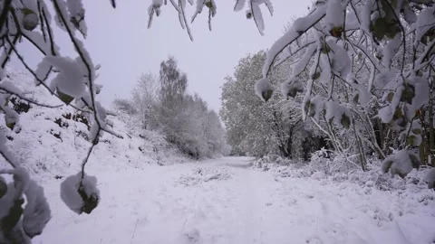 Generic snow scene, Pleasley, Derby, Derbyshire, England, United Kingdom Stock Footage 296071731