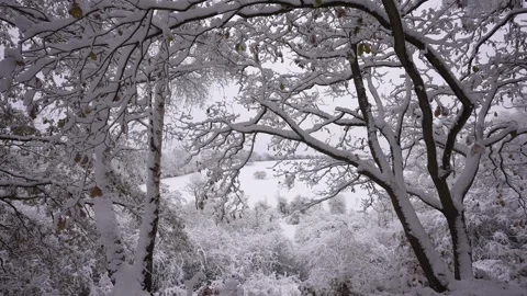 Generic snow scene, Pleasley, Derby, Derbyshire, England, United Kingdom Stock Footage 296071983