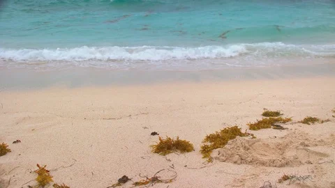 Generic Tropical Beach Scene Background Stock Footage 75185022