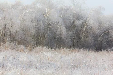 Generic winter landscape Stock Photos