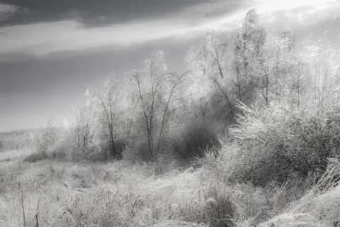 Generic winter landscape Stock Photos