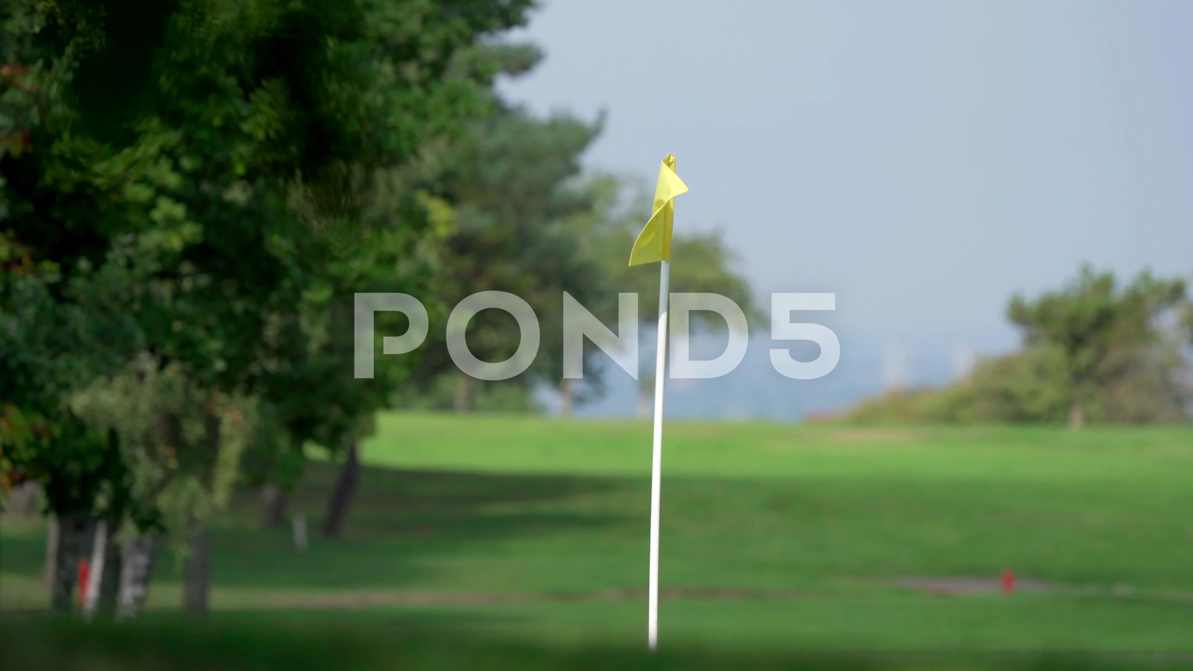 A generic yellow golf course flag in ext, Stock Video