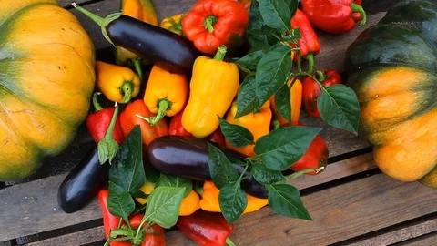 Generous autumn harvest Stock Footage 94954409