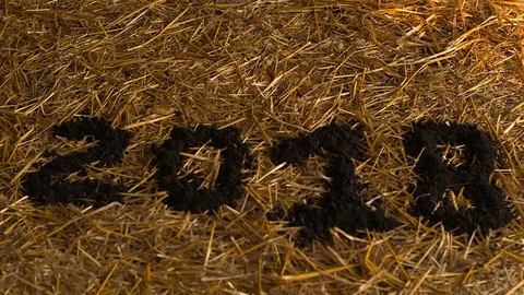 Generous Harvest Stock Footage 88506628