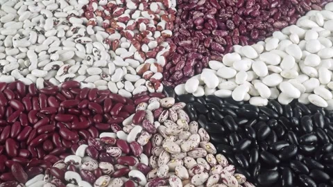 A Generous Scattering Of Beans Of Various Varieties  Ready For Preparing Del Video stock 319761819