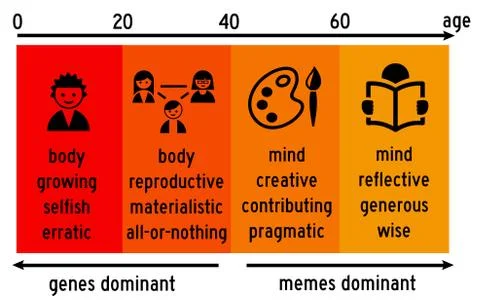 Genes memes Stock-Illustration