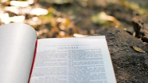 Genesis chapter of Holy Bible book Stock Footage 300939743