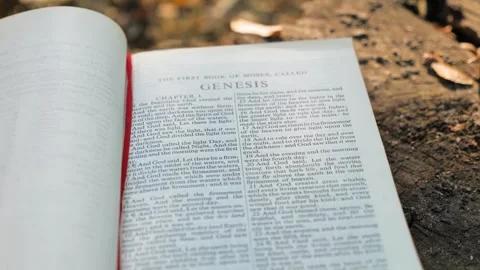 Genesis chapter of Holy Bible book in autumn forest Stock Footage 300939760