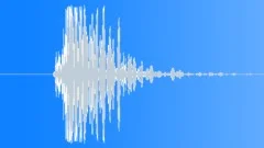 Genesis door close 5 Sound Effect