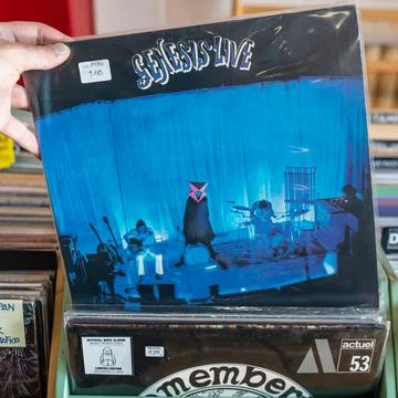Genesis Live Stock Photos