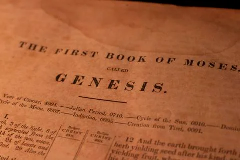 Genesis 写真素材