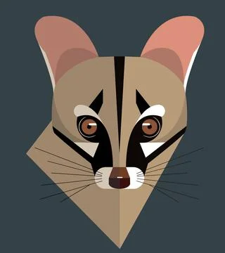 Geneta head Stock Illustration