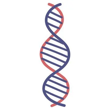 Genetc dna molecule Stock Illustration