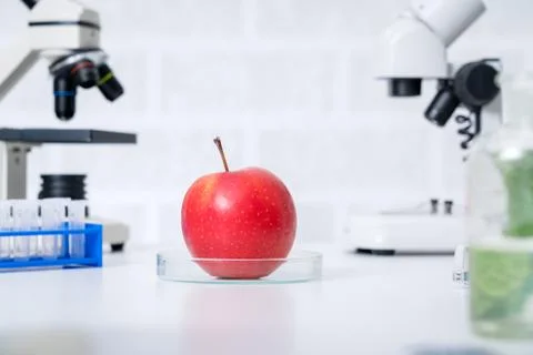 Genetic breeding of vegetables in lLaboratory , analyzing food quality, Foto stock