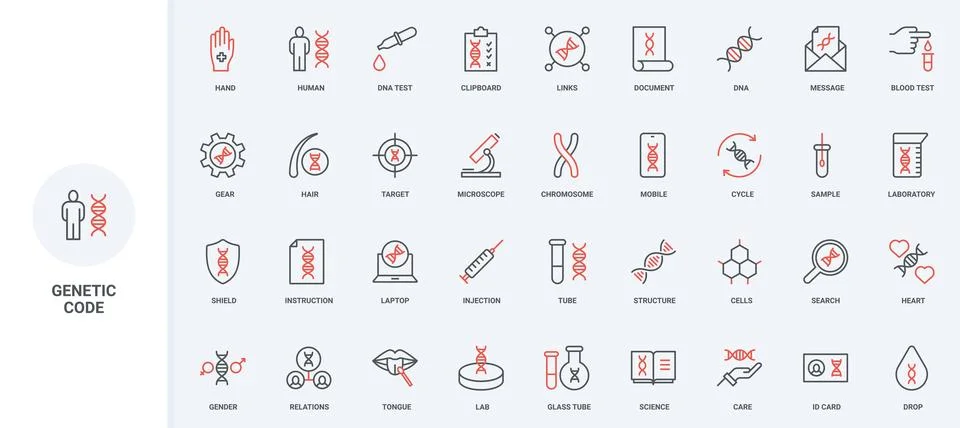 Genetic code and DNA research, test of human blood and saliva, hair sample line Stock Illustration