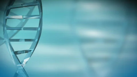 Genetic Code Animation | Stock Video | Pond5