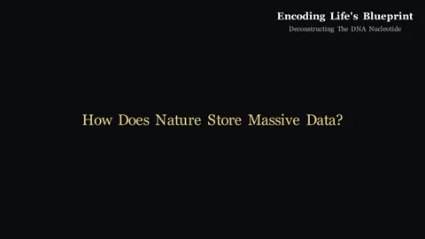 Genetic Code - Deconstructing the DNA nucleotide Stock Footage 339026774