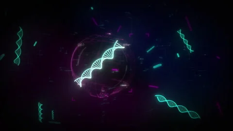 Genetic Code Of A Dna Chain Rotating Model In A Sphere For Background Animation Stock Footage 279656656
