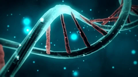 Genetic Code DNA Structure Double Helix Stock Footage