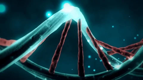 Genetic Code DNA Structure Double Helix medium Stock Footage