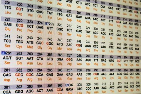 Genetic code. Stock Photos