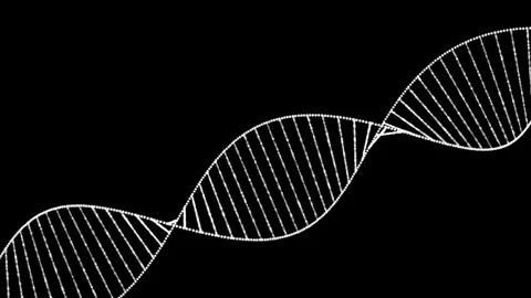 The genetic code is the structure of the DNA molecule. DNA molecule. DNA st.. Stock Footage 244400503
