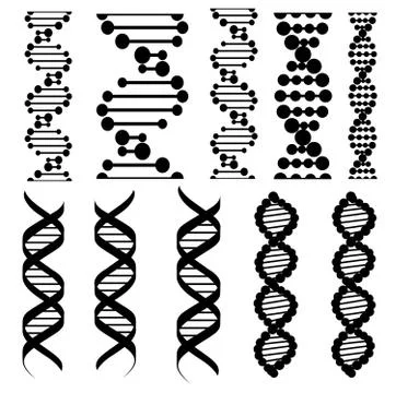 Genetic code, twisted DNA molecules イラスト素材