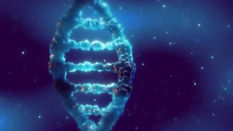 Genetic DNA testing and analysis concept. Stock Footage 154650649
