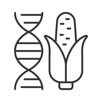 Genetic engineering and biotechnology icon in line design. Genetic engineering Ilustração Stock