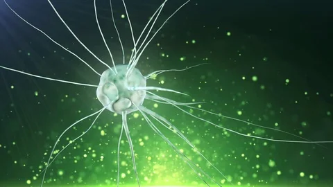 Genetic engineering and DNA manipulation Stock Footage 73319500