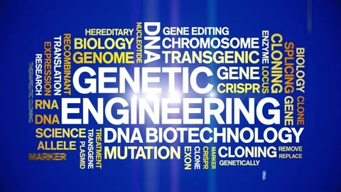 Genetic Engineering animated word cloud,animation kinetic typography loop. Stock Footage 293757850